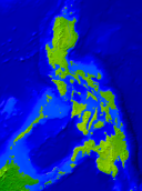 Philippinen Vegetation 593x800